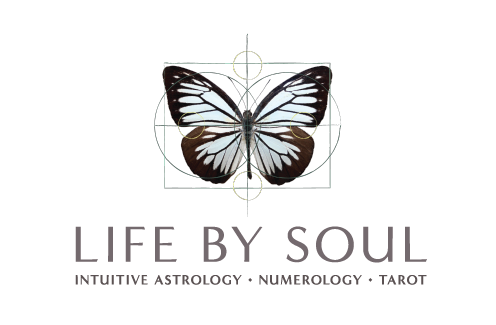 Life by Soul