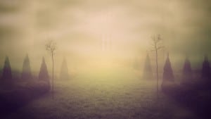 Fog Fantasy background - Graphicstock