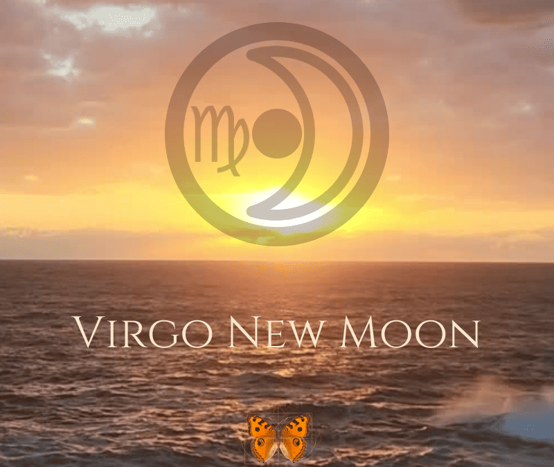 The 2023 Virgo New Moon – Finding and Feeling New Ways to Make It Work