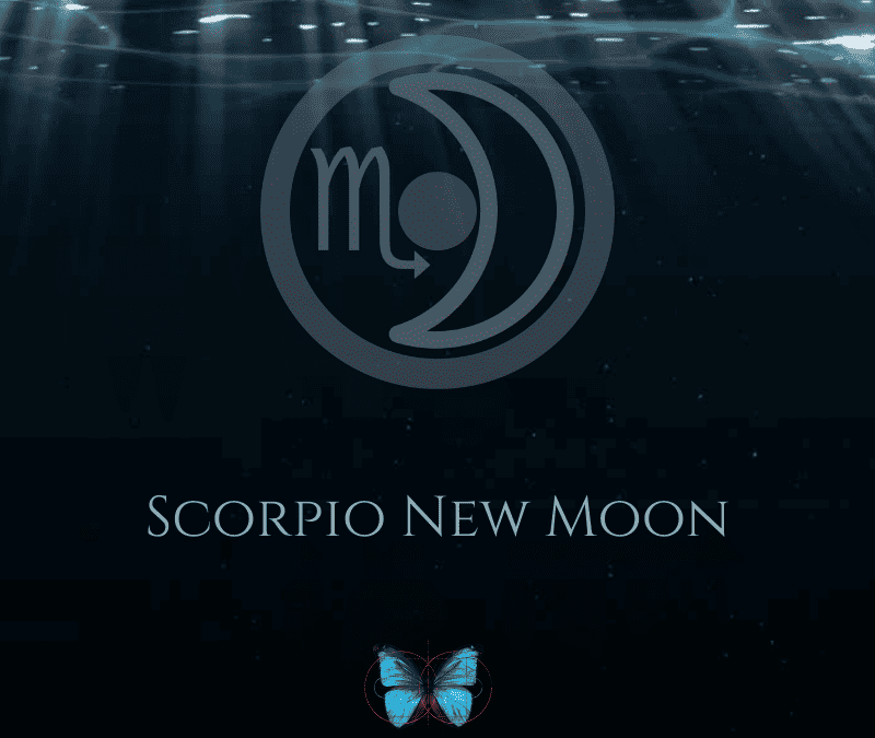 The 2023 Scorpio New Moon – Embarking on A Life Transformed