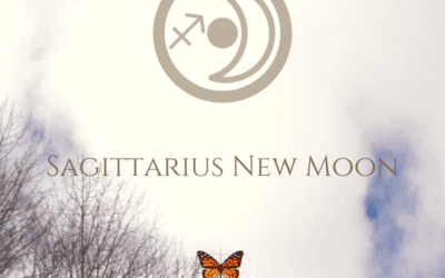 The 2023 Sagittarius New Moon – Shifting into A Great Big World