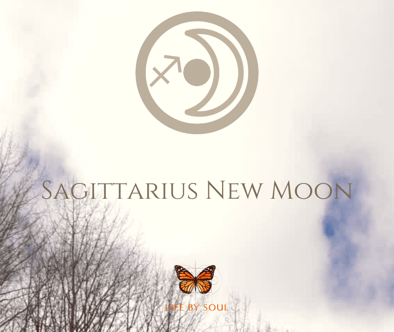 The 2023 Sagittarius New Moon – Shifting into A Great Big World