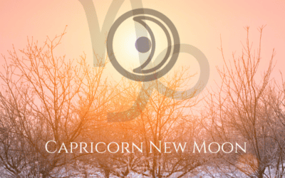 The 2024 Capricorn New Moon – It Starts with You