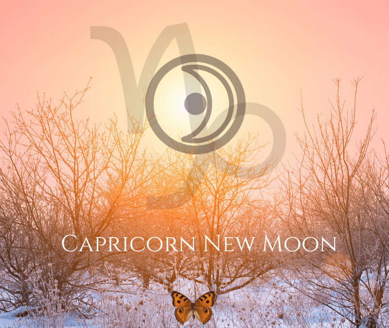The 2024 Capricorn New Moon – It Starts with You