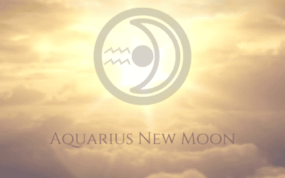 The 2024 Aquarius New Moon – Planting Seeds for Our Future