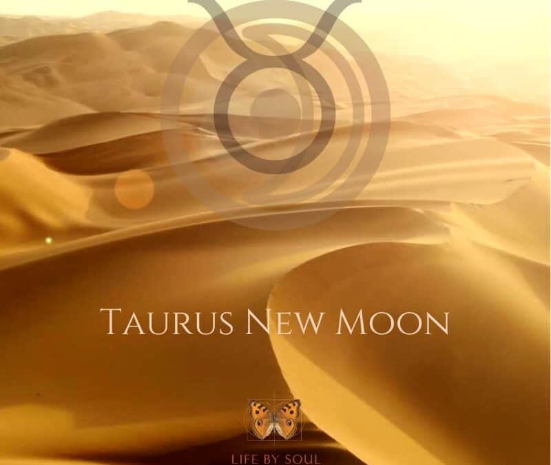 The 2024 Taurus New Moon – Re-calibrating the Compass
